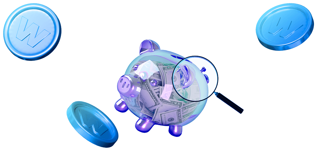 Treasurer Background